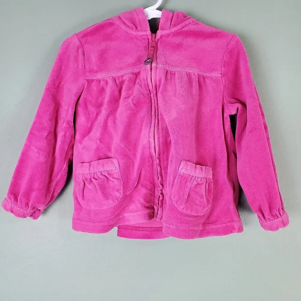 Gymboree Fall Forest Pink Velour Hoodie Size 3T